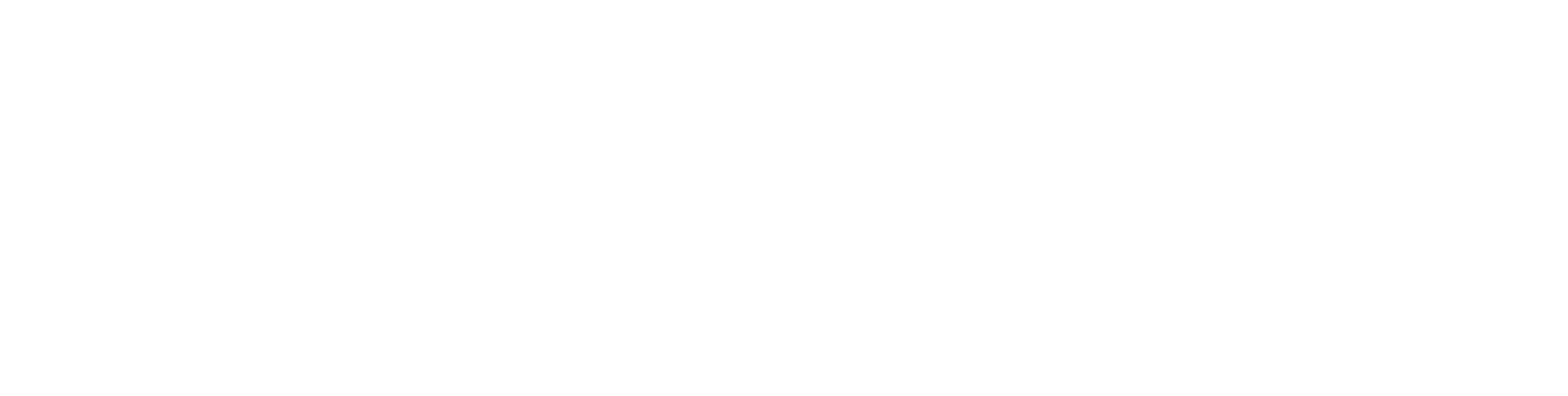 ENSSOFT LOGO