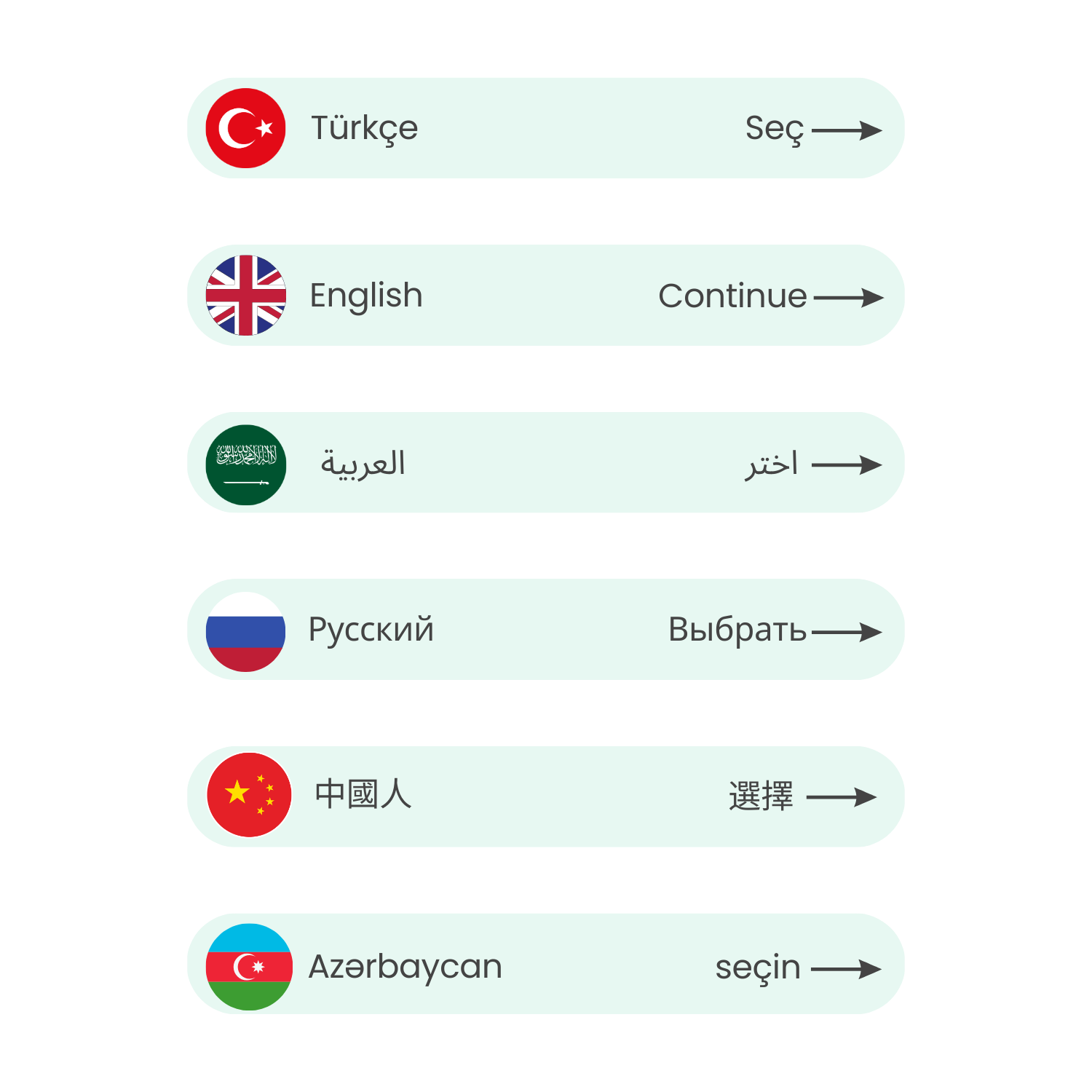 Ens Soft Çoklu Dil Seçeneği